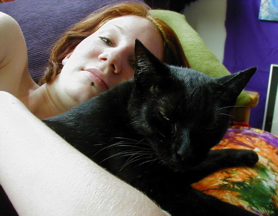 katcat