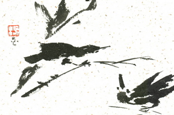 crows