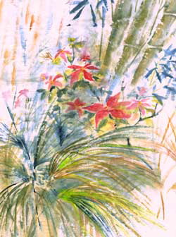 poinsettias