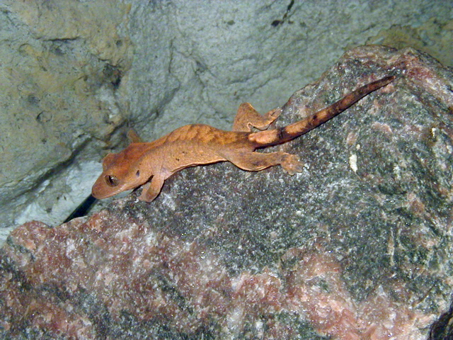 P1010010
